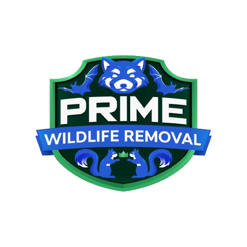 Wildlife Removal Kawkawlin